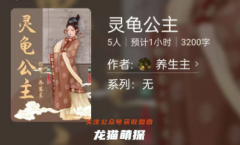 百变大侦探/灵龟公主