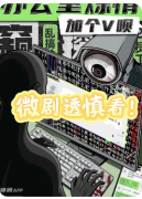 加个V呗：办公室炼情