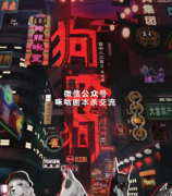 《狗咬狗》
