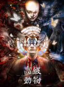 <b>《高级动物》</b>