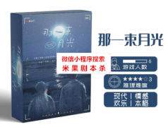 那一束月光