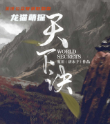 新本推荐《天下诀》