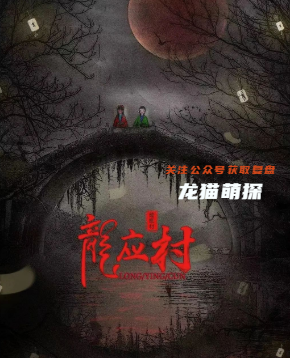 龙应村剧本杀复盘