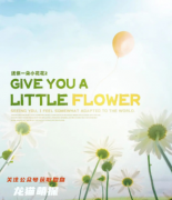 经典系列|送你一朵小花花2