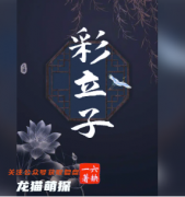百变大侦探|彩立子