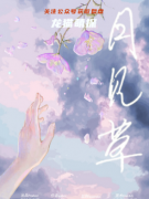 剧透测评|月见草
