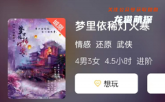 《梦里依稀灯火寒》