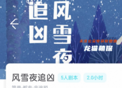 《风雪夜追凶》我是谜
