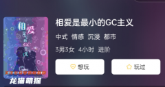 相爱是最小的GC主义