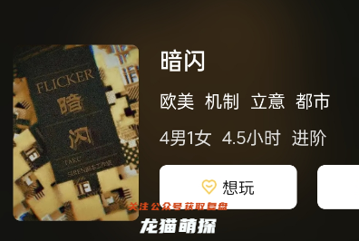 暗闪剧本杀