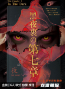 黑夜里的第七章